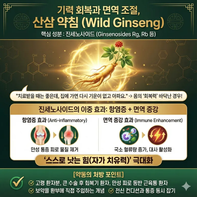산삼 약침 - 진세노사이드의 항염증 + 면역 증강 이중 효과