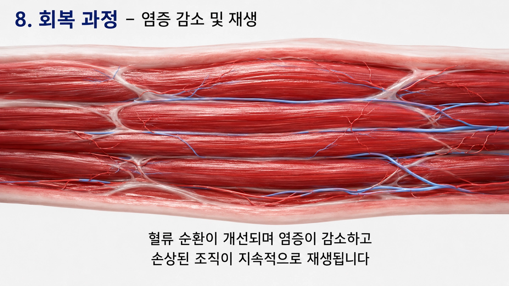 회복 과정